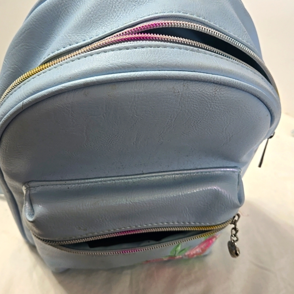 Omg Accessories Embroidered Roses Backpack Light Blue Gently Used View 6